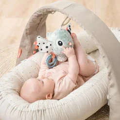 Activity Sensory Toy Birdee
