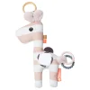 Activity Toy - Raffi Powder