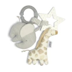 Activity Toy - Welcome to the World