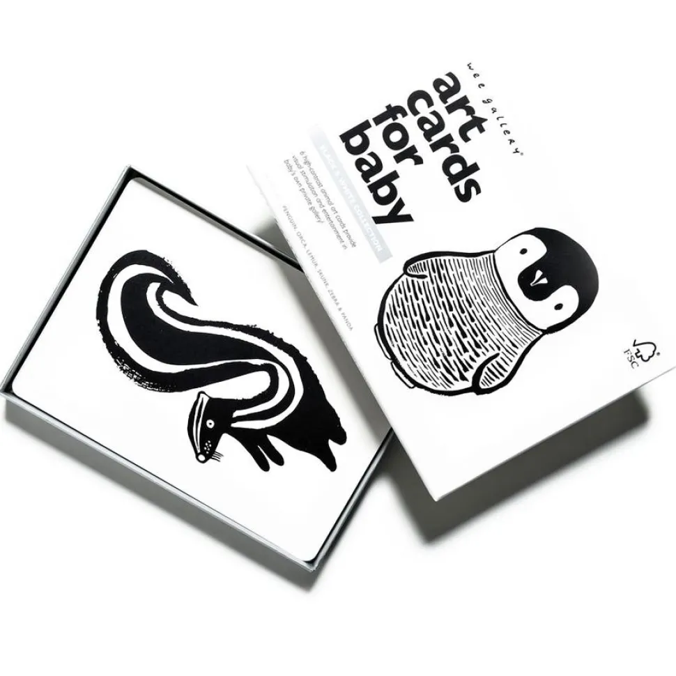 Art Cards for Baby - Black and White Collection