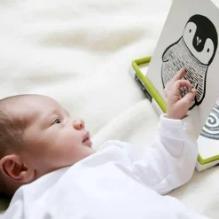 Art Cards for Baby - Jungle