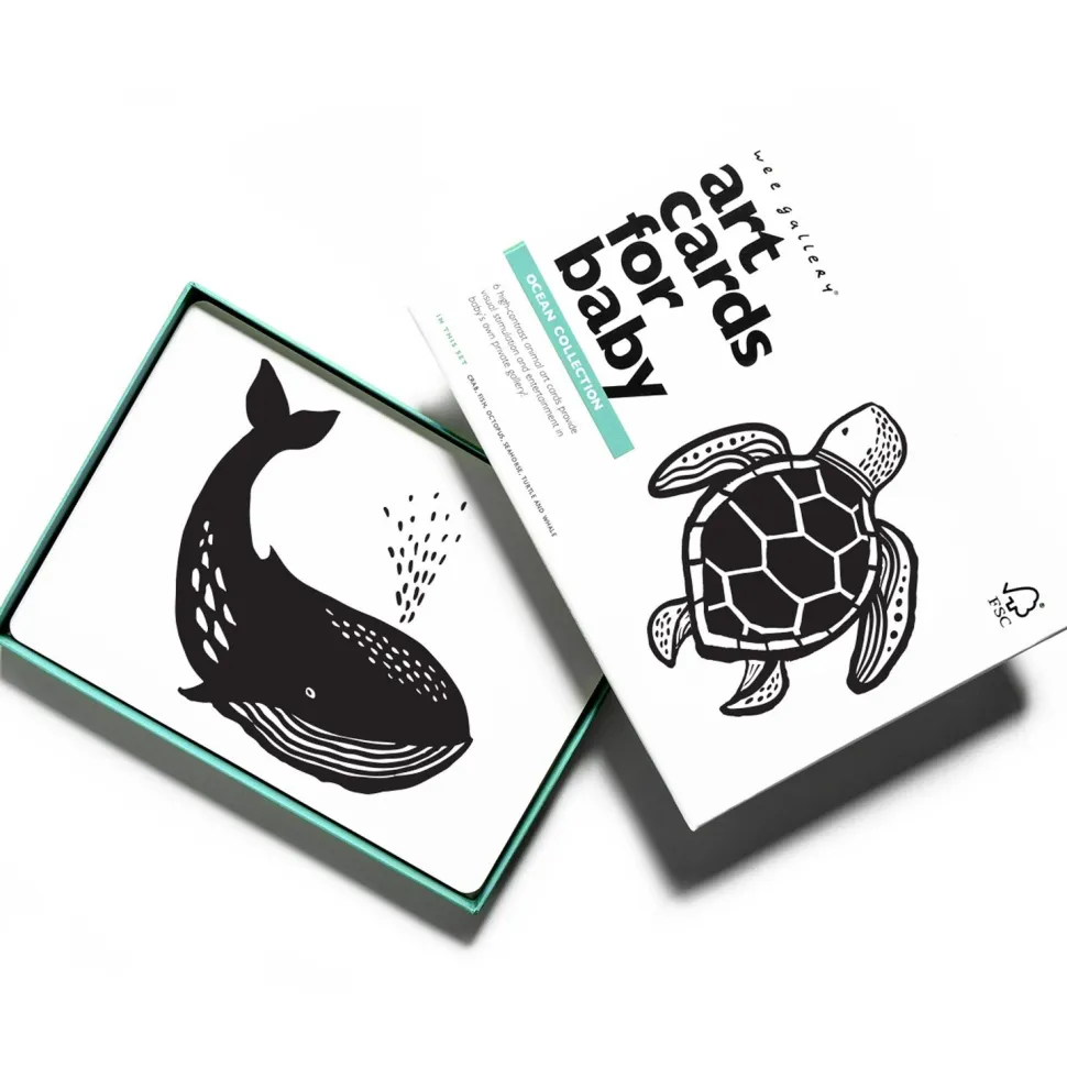 Art Cards for Baby - Ocean