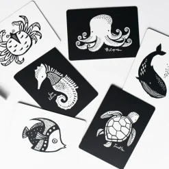 Art Cards for Baby - Ocean