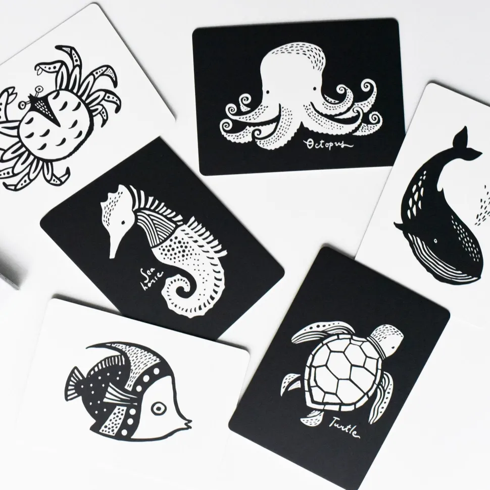 Art Cards for Baby - Ocean