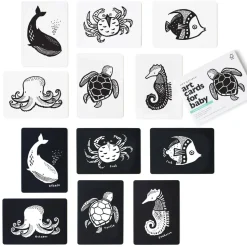 Art Cards for Baby - Ocean