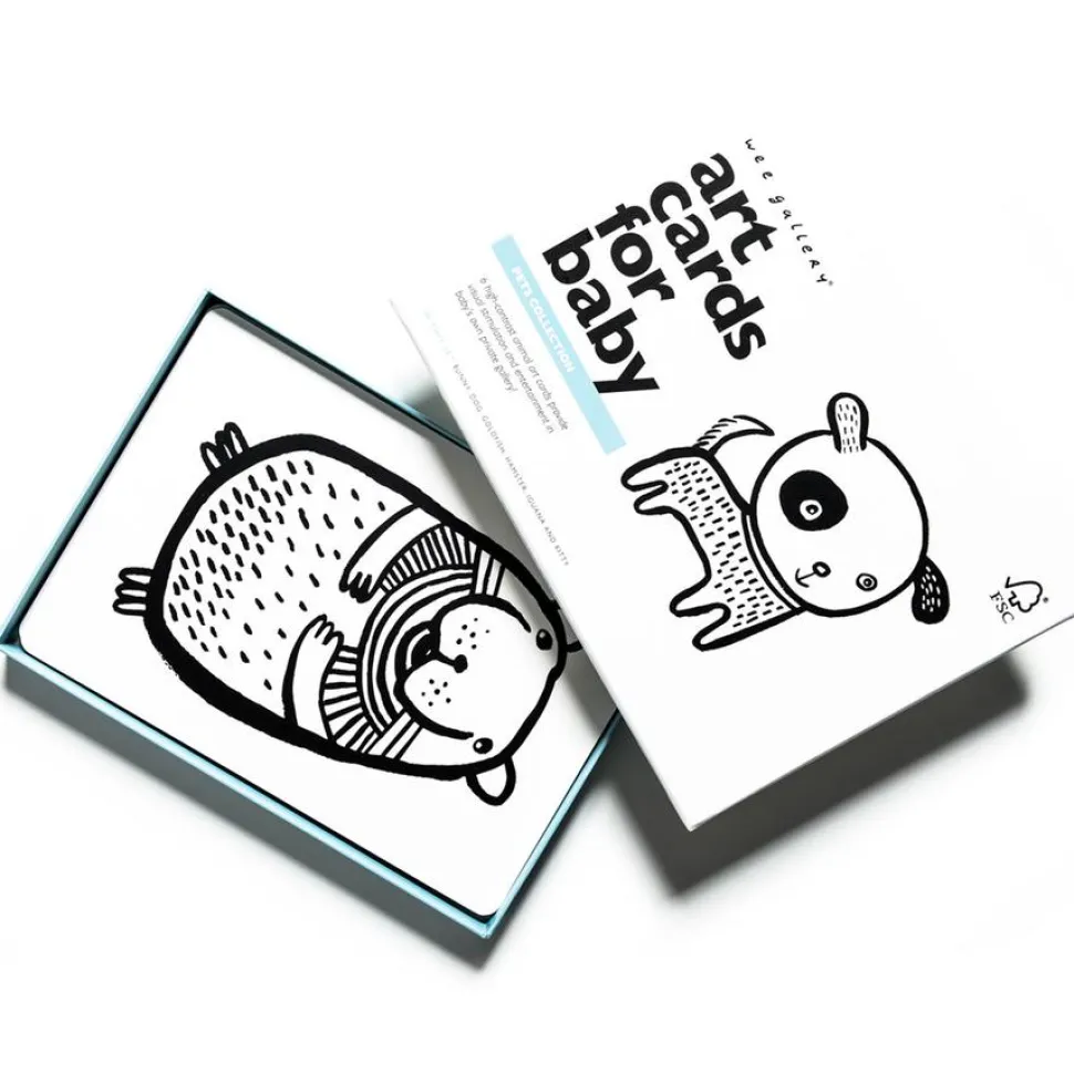 Art Cards for Baby - Pets