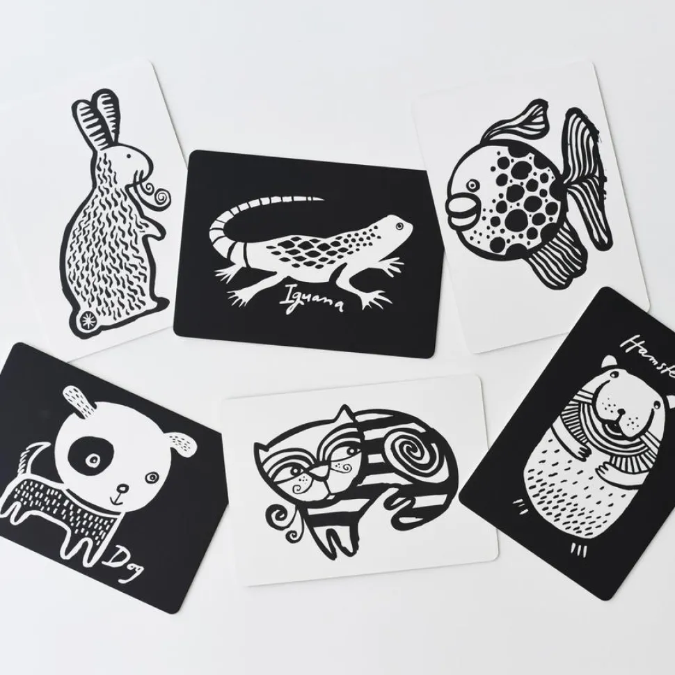 Art Cards for Baby - Pets