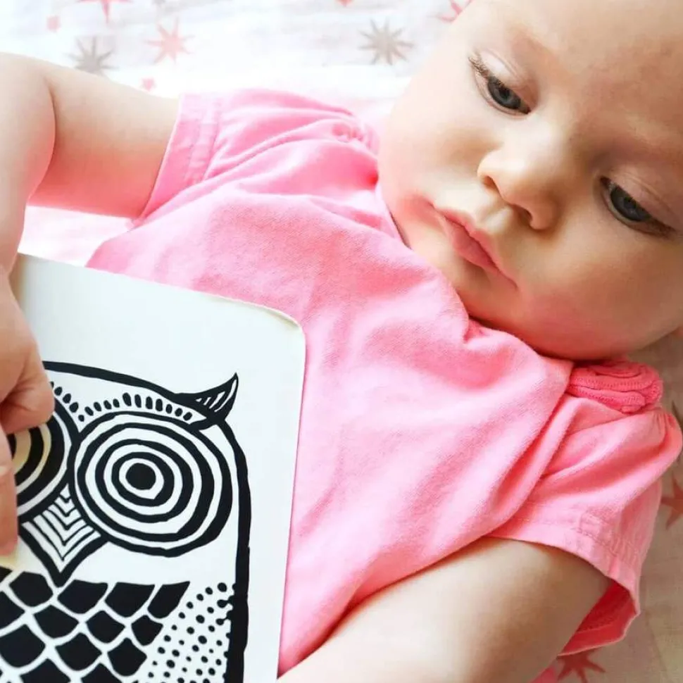 Art Cards for Baby - Pets