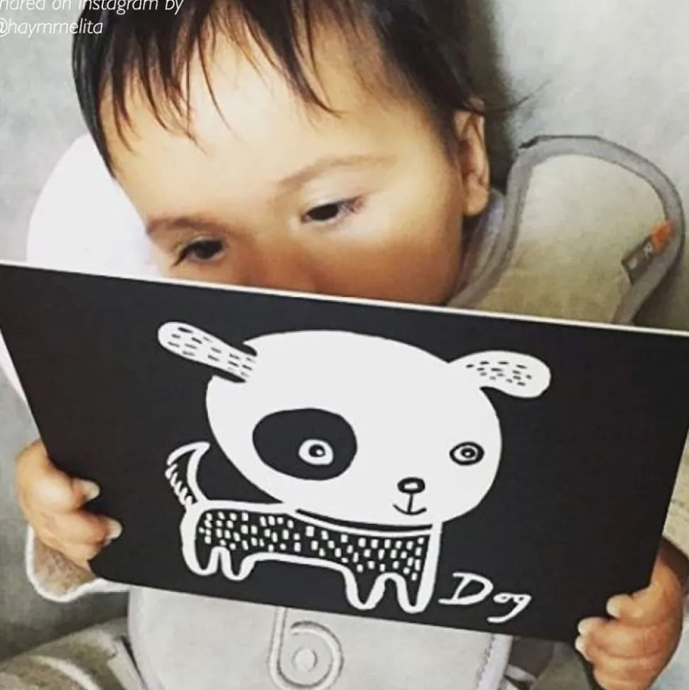 Art Cards for Baby - Pets