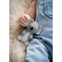 Australian Animals - Koala