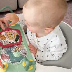 Baby Snug Floor Seat with Activity Tray