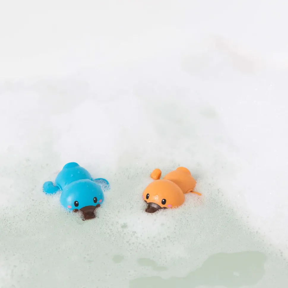 Bath Racers - Platypuses