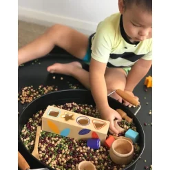 Boitabasic Shape Sorter