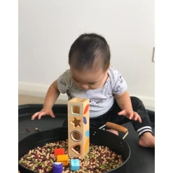 Boitabasic Shape Sorter