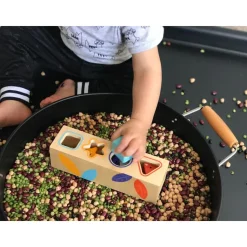 Boitabasic Shape Sorter