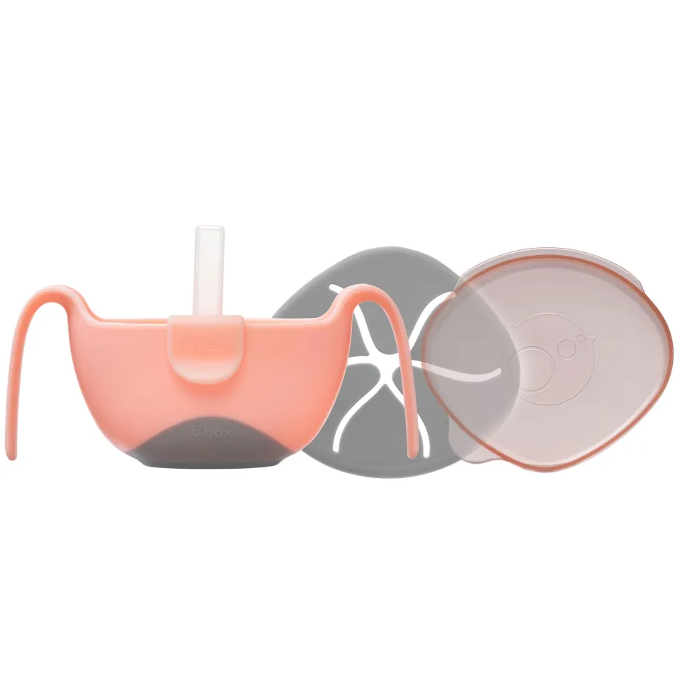 Bowl and Straw - Tutti Fruitti