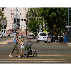 Bumbleride Indie 3 Wheel