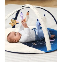 Celestial Dreams Activity Gym