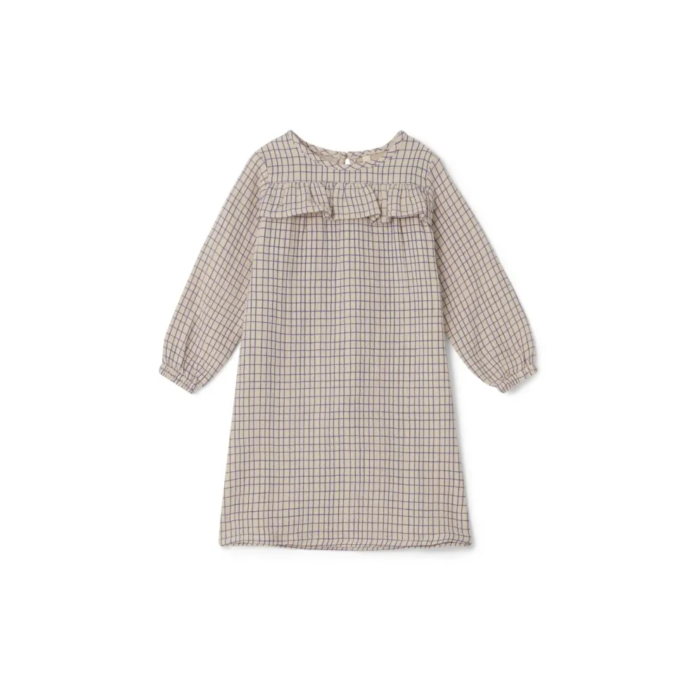 Checks Cobalt Muslin Dress