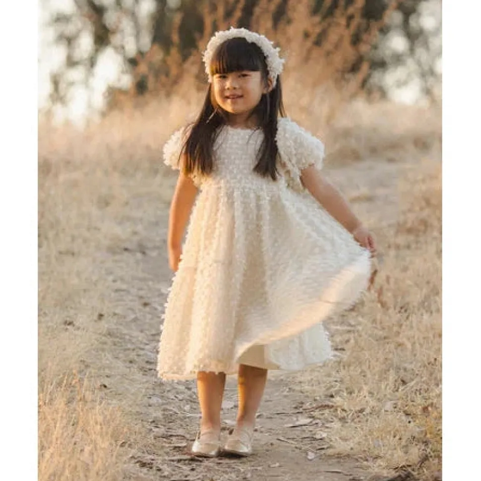 Chloe Dress VARIOUS COLOURS