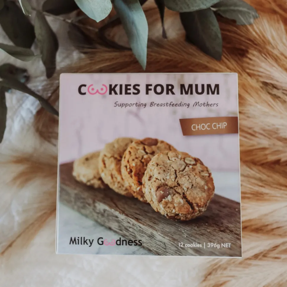 Chocolate Chip Lactation Cookies