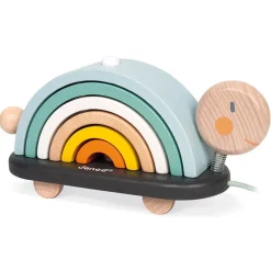 Cocoon Rainbow Turtle