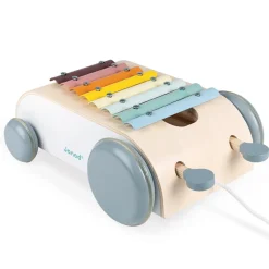 Cocoon Xylo Roller