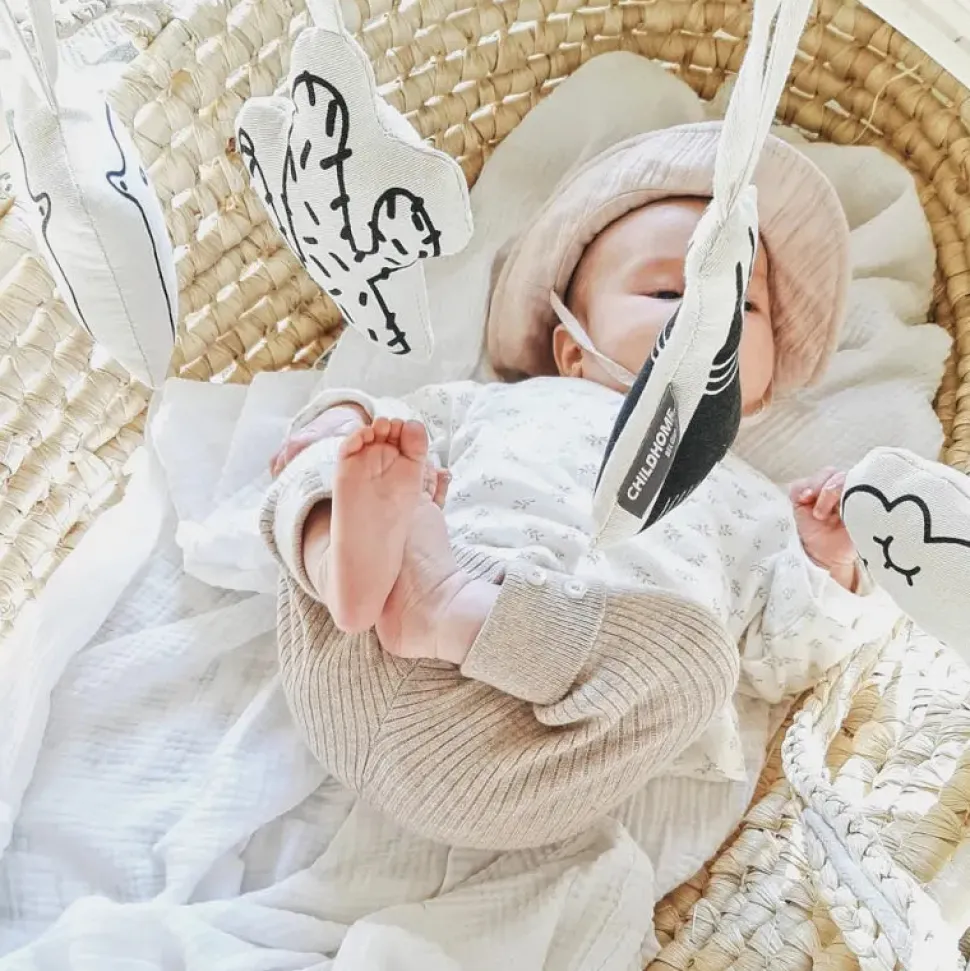Corn Husk Moses Basket with Insert