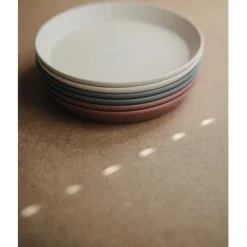 Dinner Plate Round - Set of 2 VARIOUS COLOURS