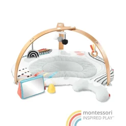 Discoverosity Deluxe Activity Gym