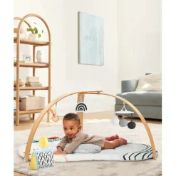 Discoverosity Deluxe Activity Gym