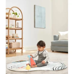 Discoverosity Deluxe Activity Gym