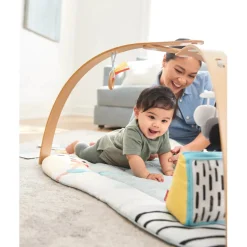 Discoverosity Deluxe Activity Gym