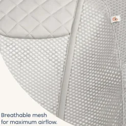 Evolve 3 in 1 Bouncer Mesh VARIOUS COLOURS