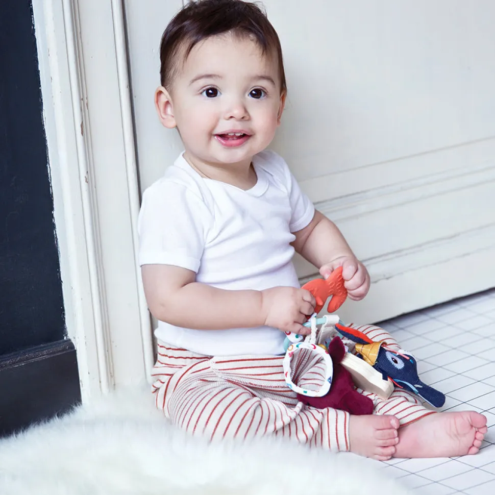 Farm Sensory Rattle