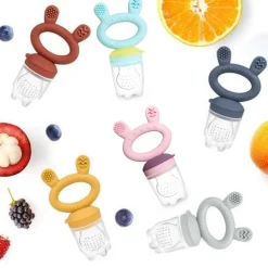 Fresh Food Teething Feeder & Cover Set VARIOUS COLOURS