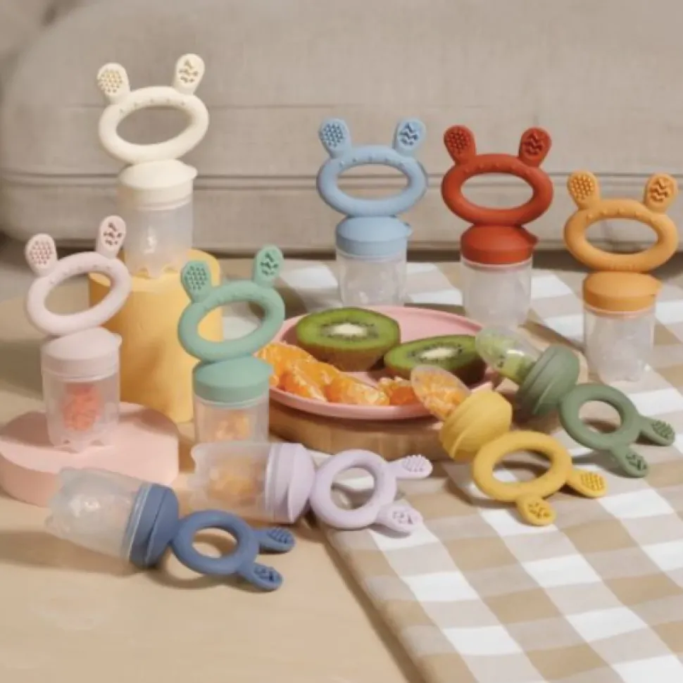 Fresh Food Teething Feeder & Cover Set VARIOUS COLOURS
