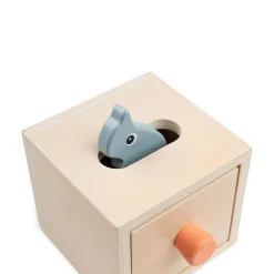Hide and Find Box - Nozo