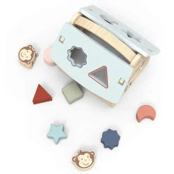 House Shape Sorter With 8 Blocks