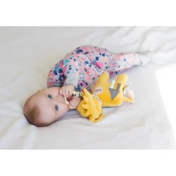 Lion Activity Toy