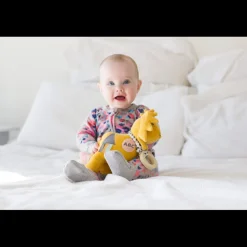 Lion Activity Toy