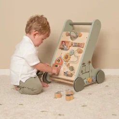 Little Farm Multi-Activity Baby Walker