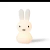 Miffy Shines Light