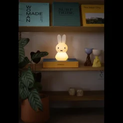 Miffy Shines Light