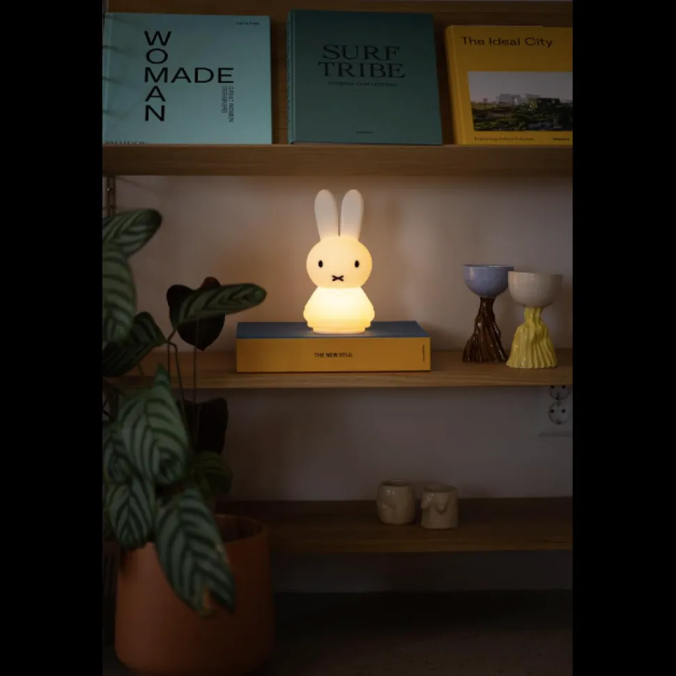 Miffy Shines Light