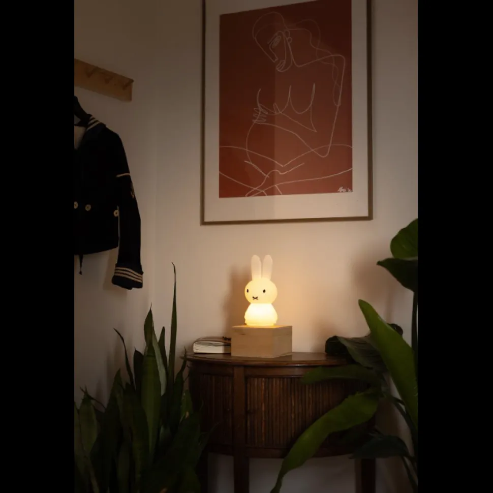 Miffy Shines Light