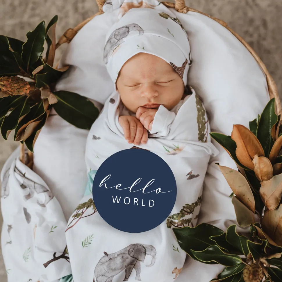 Milestone Cards - Safari & Navy