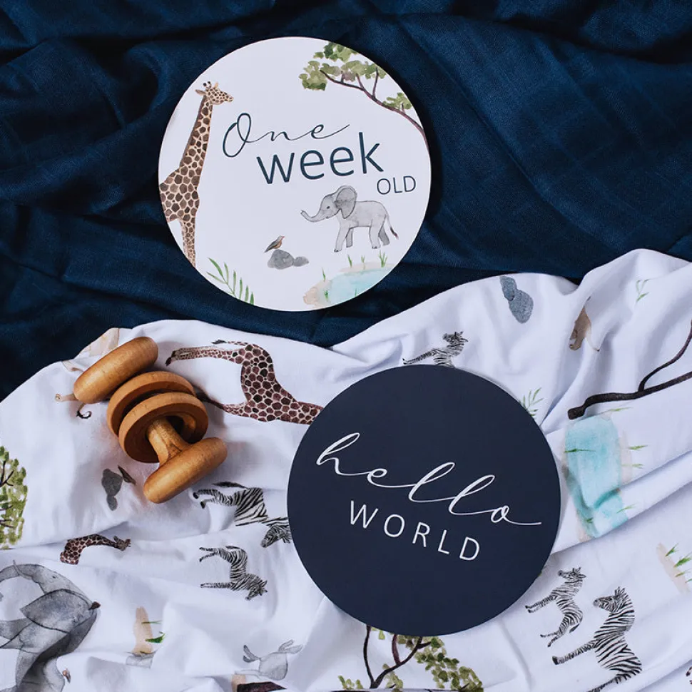 Milestone Cards - Safari & Navy