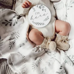 Milestone Cards - Wild Fern & Grey