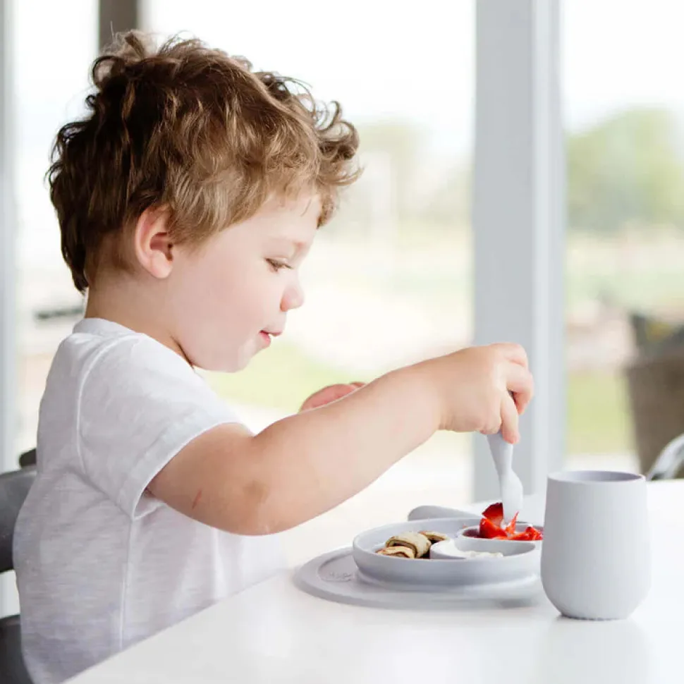 Mini Feeding Set - Pewter